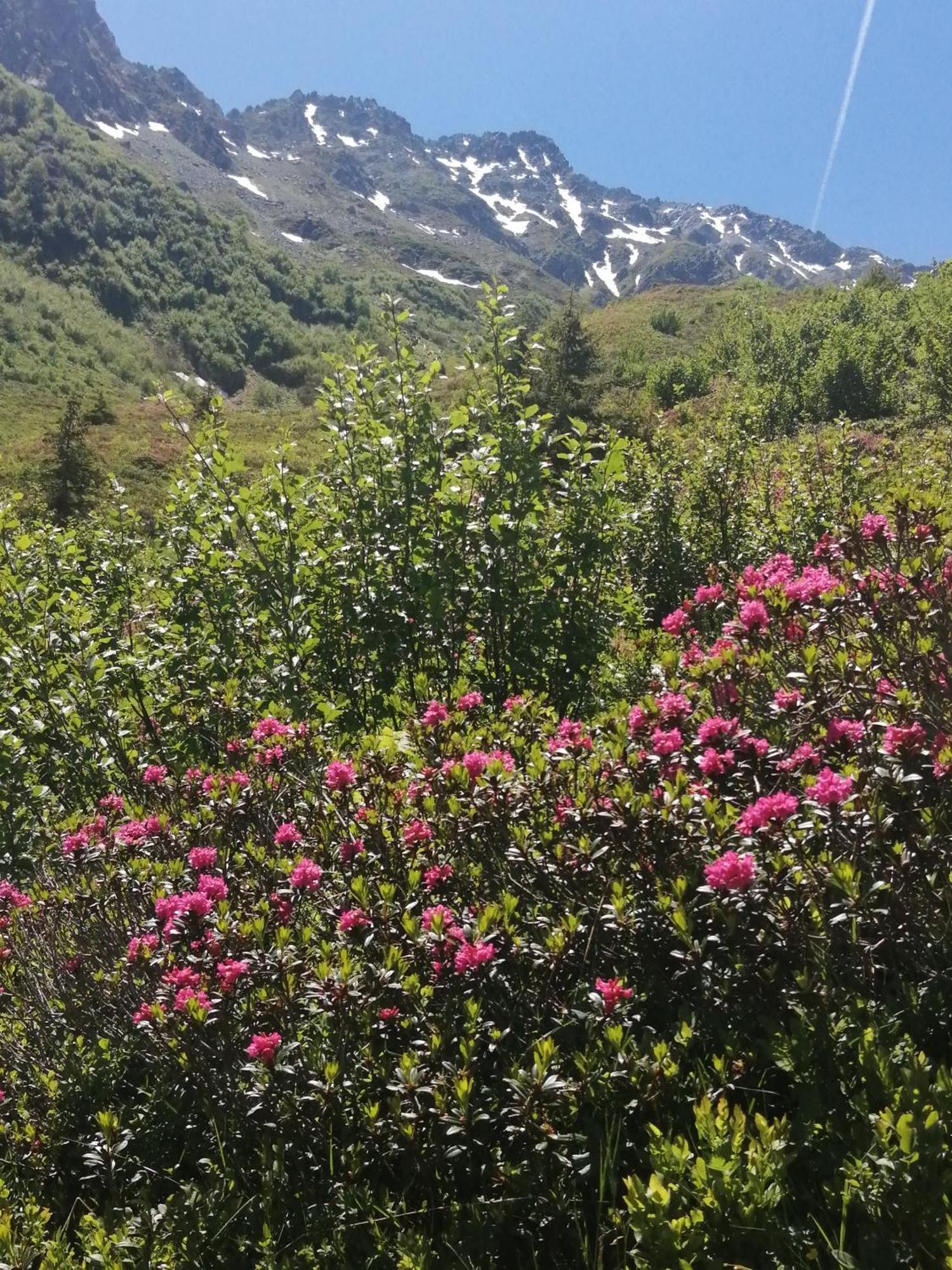 Superbe Studio Aux 7 Laux La Ferrière Екстериор снимка